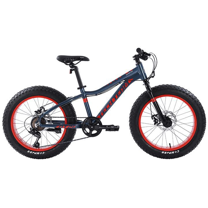 Harga fat bike sale