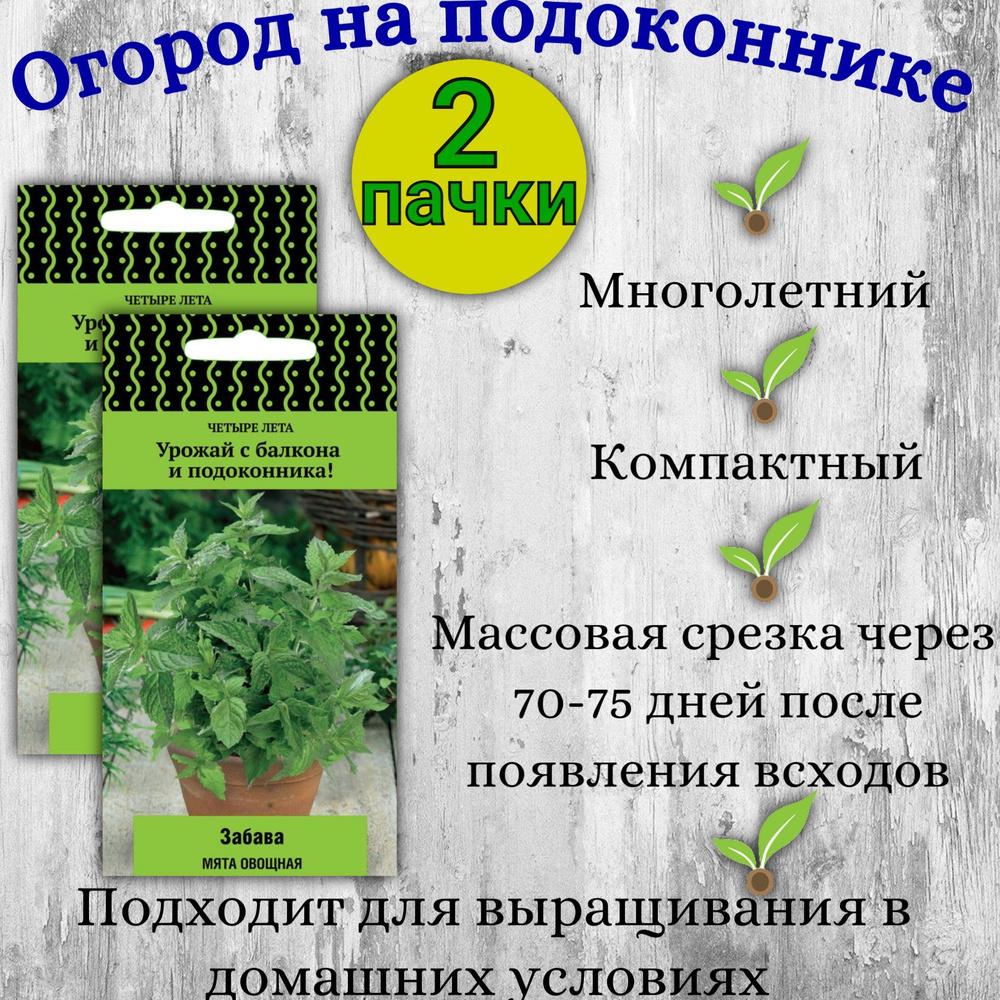 Семена Мята овощная Забава 20 шт (Четыре лета) , 2 упаковки * 20 шт . Для  выращивания в домашних условиях.