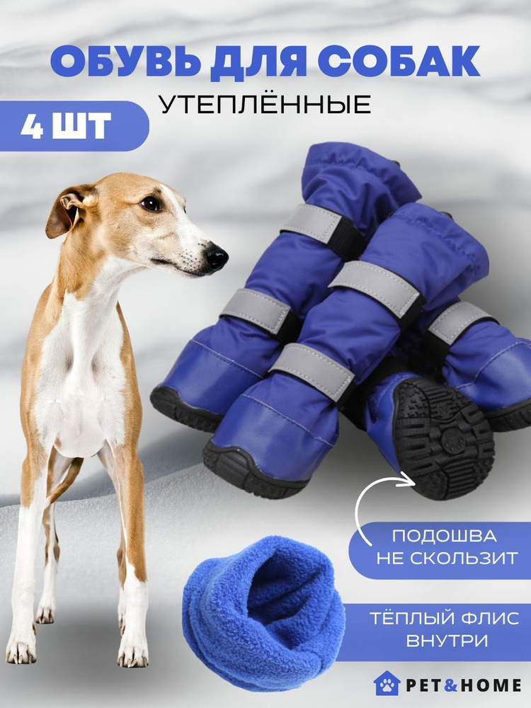 Непромокаемые ботинки для собак мелких средних крупных пород PET&HOME,  синие, размер XS, 4 штуки - купить с доставкой по выгодным ценам в  интернет-магазине OZON (808974698)
