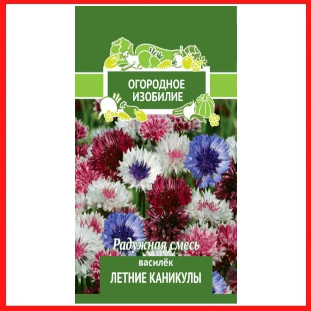 Семена Василек "Летние Каникулы" 1 гр, однолетние цветы для дачи, сада и огорода, клумбы, в открытый #1