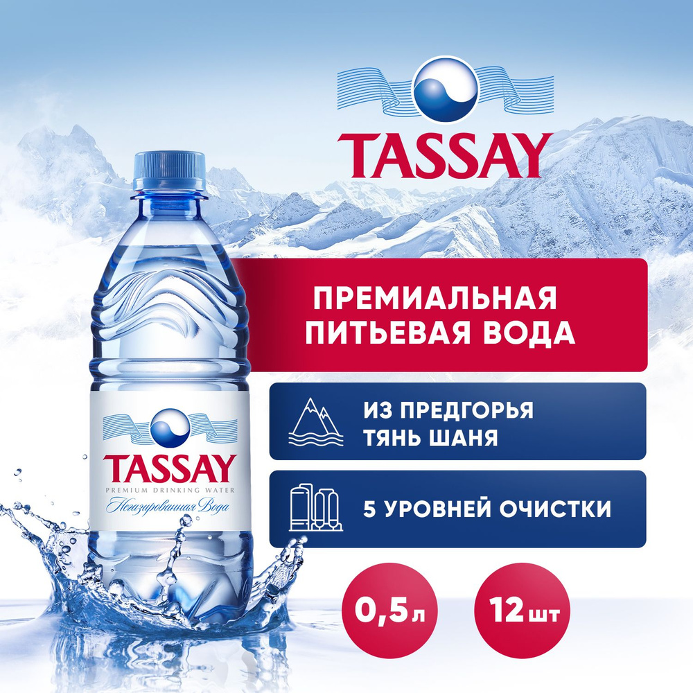 Вода негазированная Tassay природная, 12 шт х 0,5 л