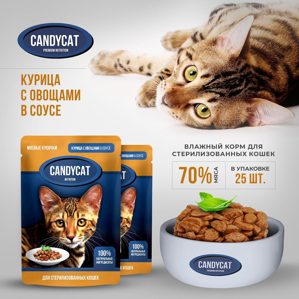 Влажный корм для кошек Candycat, Курица с овощами, для кастрированных и стерилизованных, 25 шт по 85 #1