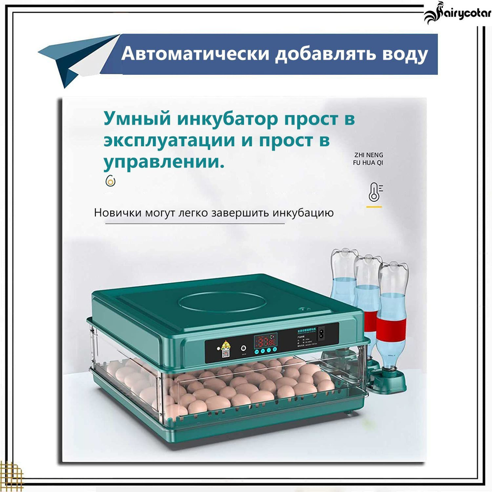 Инкубатор для яиц - купить с доставкой по выгодным ценам в интернет ...