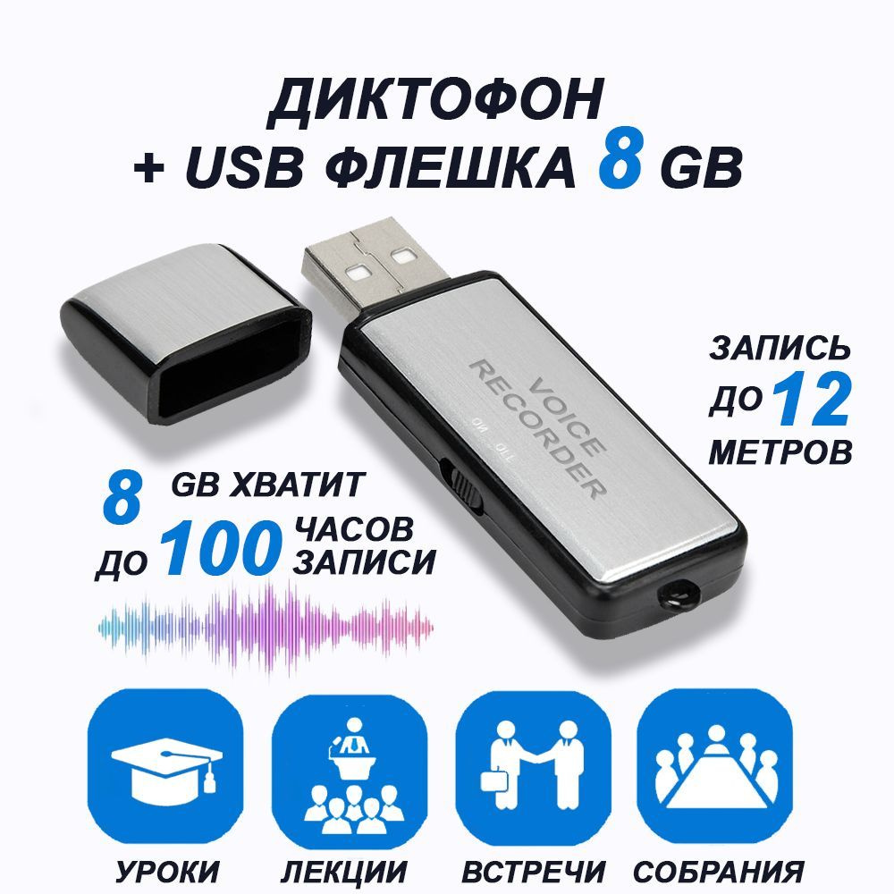 Цифровой аудио мини диктофон для записи голоса и разговоров + USB флешка 8  ГБ