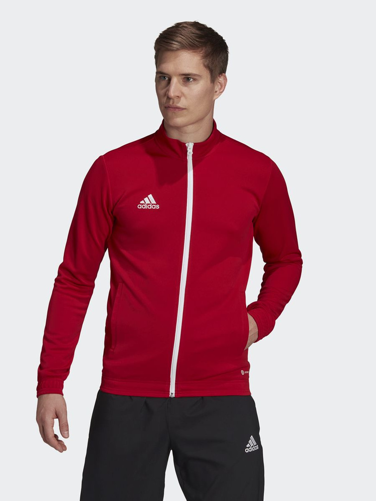 Adidas best sale entrada 19