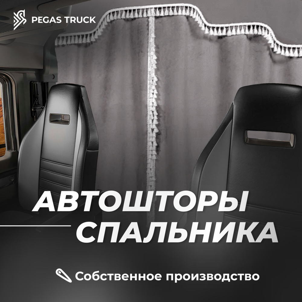 Шторка солнцезащитная PEGAS TRUCK DAF, Ford (240х150 см) - купить по  доступным ценам в интернет-магазине OZON (1267751979)