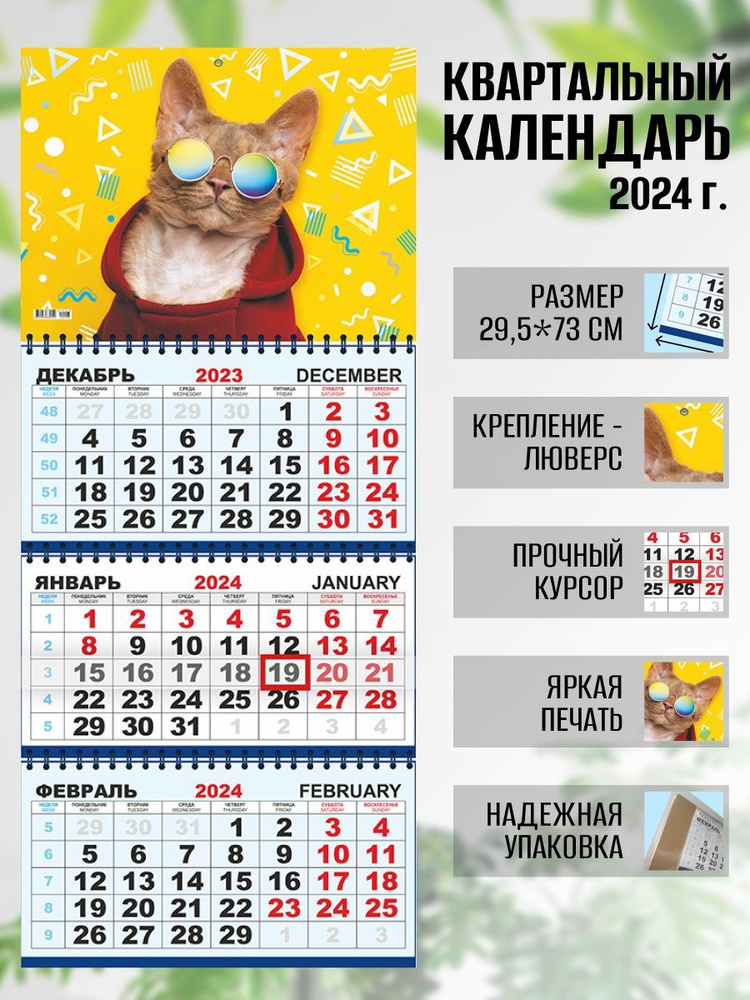 Календарь квартальный настенный 2024 г. Кот в очках - купить с доставкой по  выгодным ценам в интернет-магазине OZON (1079352250)