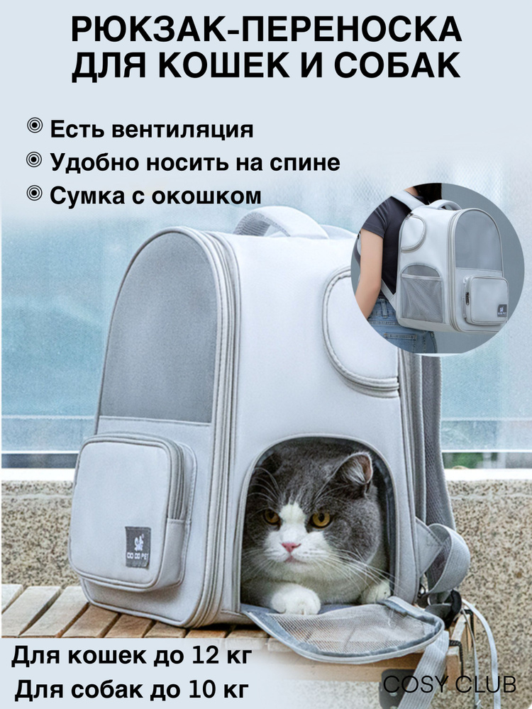 Переноска рюкзак для животных кошек собак мелких пород - купить с доставкой  по выгодным ценам в интернет-магазине OZON (984517834)