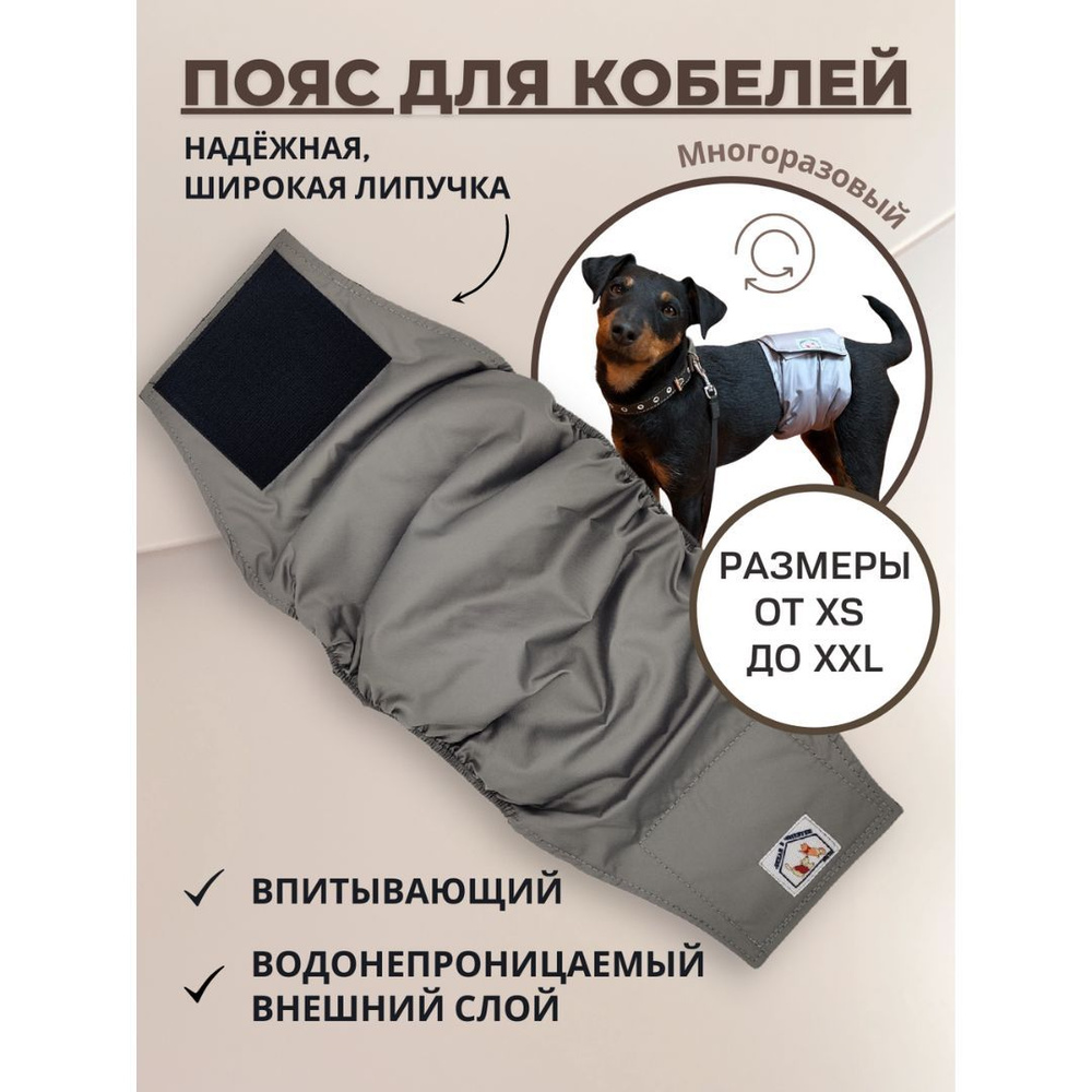 Пояс для кобелей многоразовый памперс подгузник впитывающие трусы для собак  - купить с доставкой по выгодным ценам в интернет-магазине OZON (204703545)