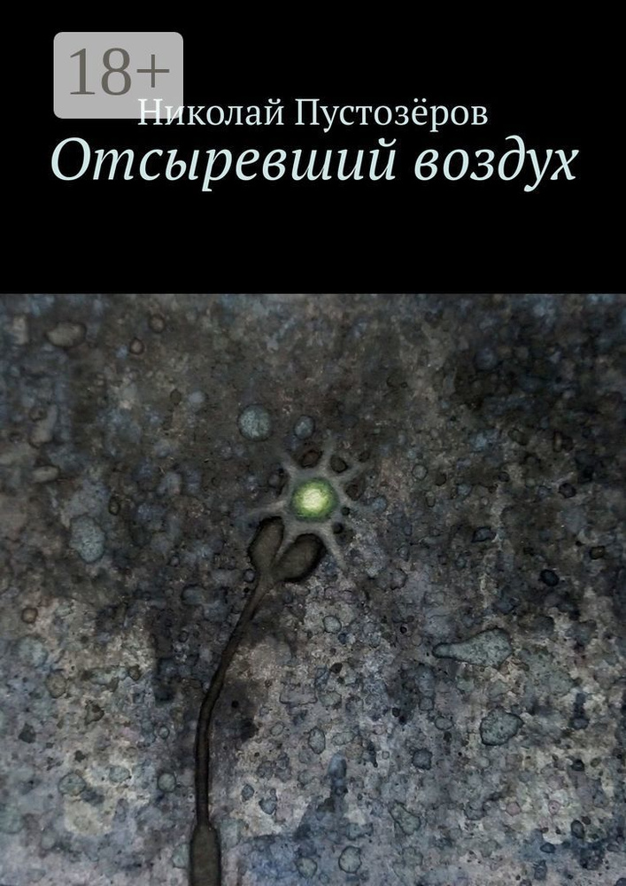Отсыревший воздух | Пустозёров Николай #1
