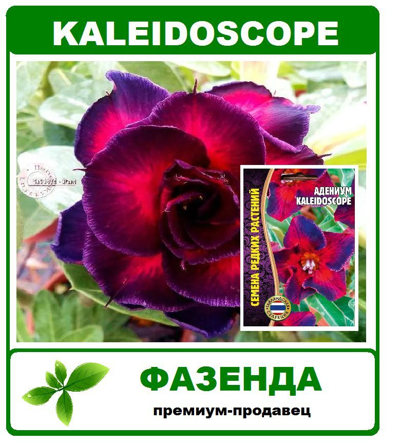 семена, адениум Kaleidoscope, 1 пачка 3 семечки. Григорьев #1