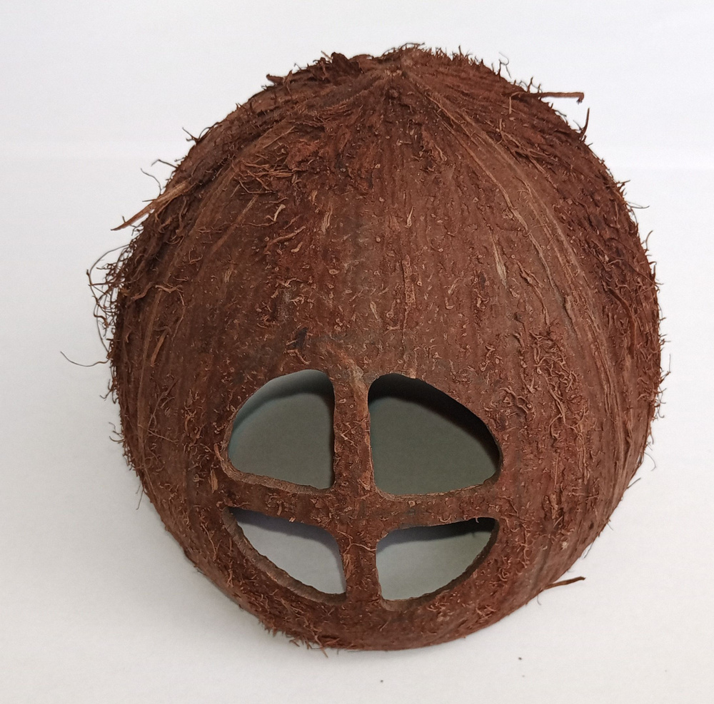 Использование кокоса для декорирования аквариума