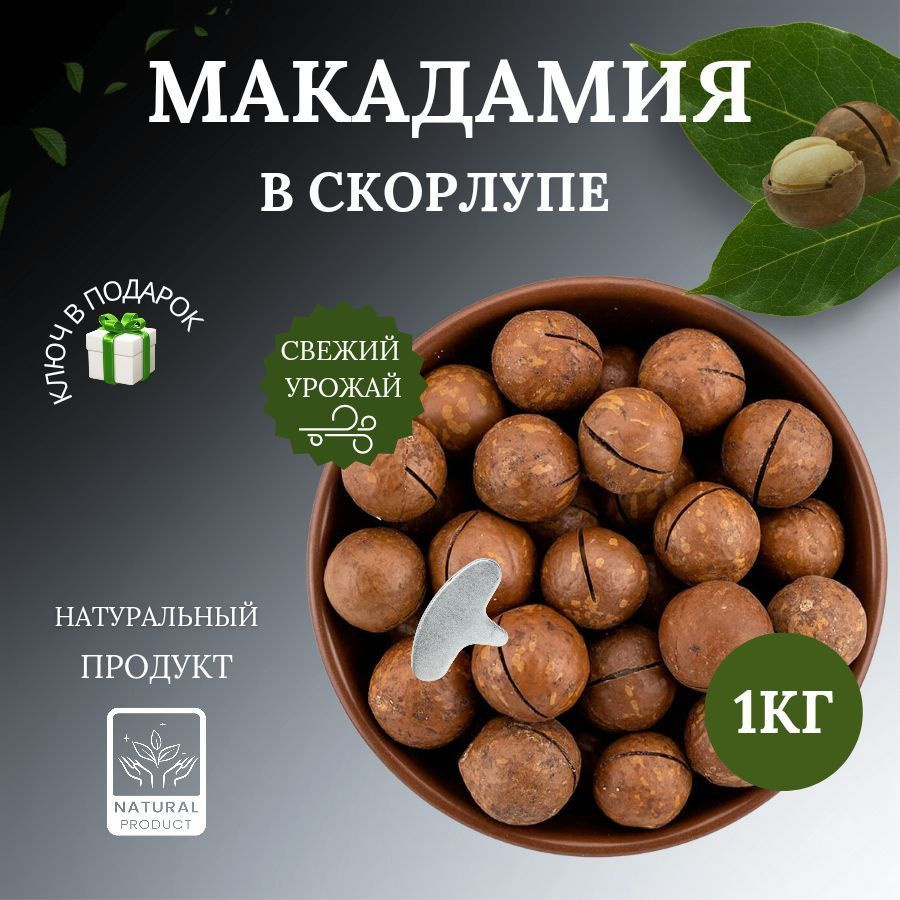 Орех Макадамия в скорлупе