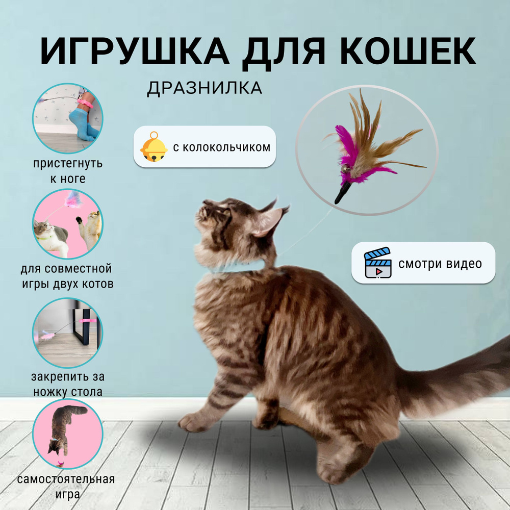Игрушка для кошек на шею ошейник с удочкой дразнилкой голубой - купить с  доставкой по выгодным ценам в интернет-магазине OZON (1223321141)