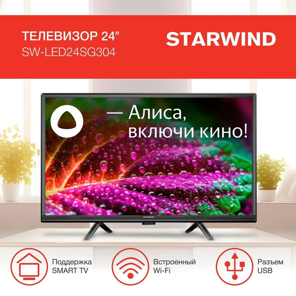 STARWIND Телевизор с Алисой и Wi-Fi SW-LED24SG304 24" HD, черный #1