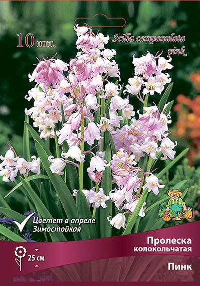 Пролеска колокольчатая Пинк, уп.10 луковиц #1