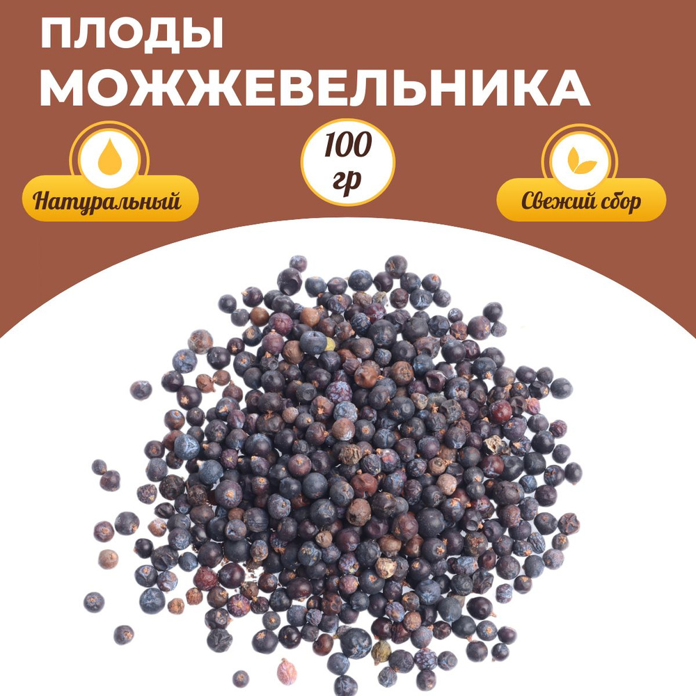 Можжевельник плоды (Польша) 100 г - купить с доставкой по выгодным ценам в  интернет-магазине OZON (859745174)