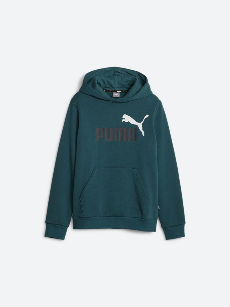 Худи PUMA Ess+ 2 Col Big Logo Hoodie Fl B #1