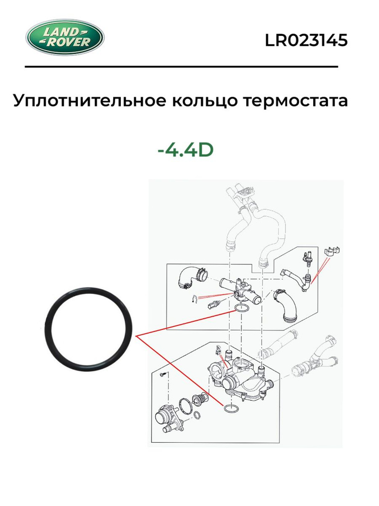 Уплотнительное кольцо термостата 4.4D #1