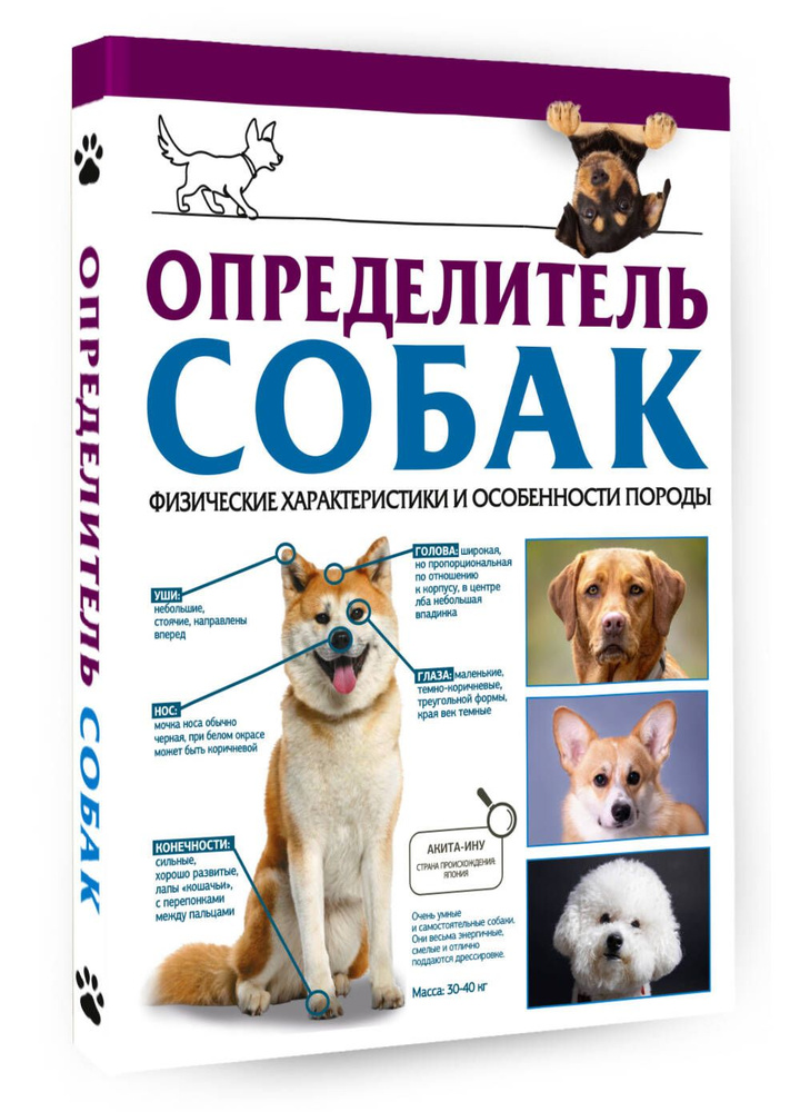 Определитель собак. Физические характеристики и особеннности породы | Барановская Ирина Геннадьевна  #1