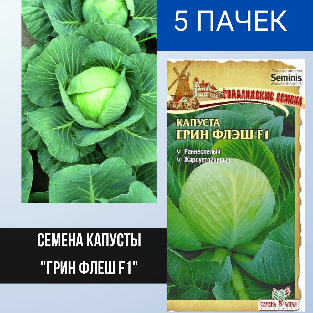 Семена капусты Грин Флеш F1, Семена Алтая, 15 шт, в наборе 5 пачек #1