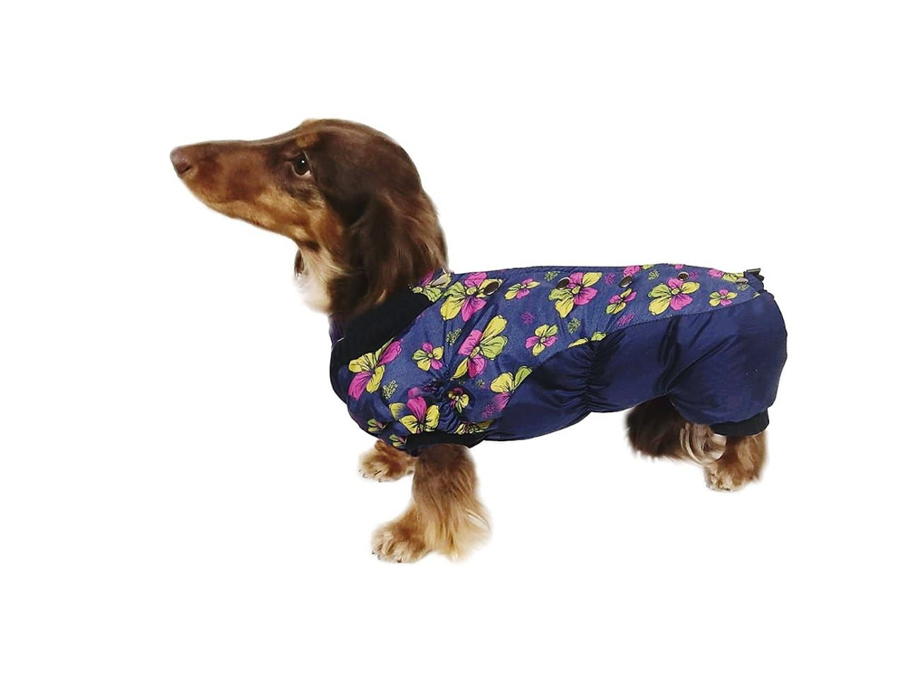 Комбинезон для таксы девочки зимний утепленный, модель Шелл р.40, одежда  для собак КУЗеР - мода - купить с доставкой по выгодным ценам в  интернет-магазине OZON (1331337013)