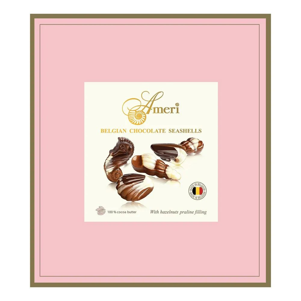 Шоколадные конфеты-ракушки Ameri, с начинкой пралине, 250 г #1