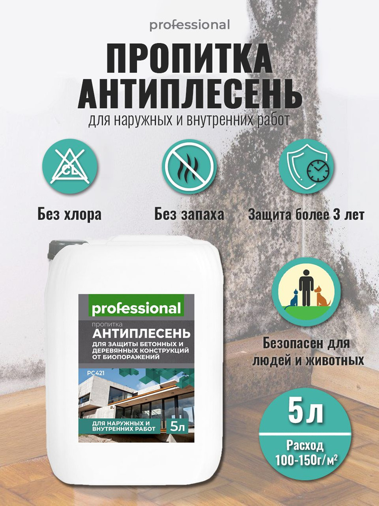 Средство от плесени АНТИПЛЕСЕНЬ PROFESSIONAL пропитка 5л, пропитка от плесени и грибка для стен #1