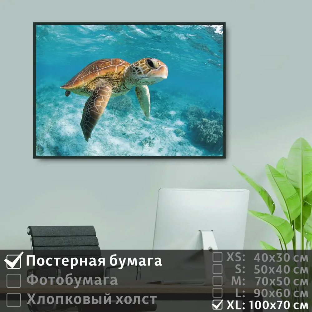 Постер на стену Черепаха Под Водой В Океане 100х70 см ПолиЦентр #1