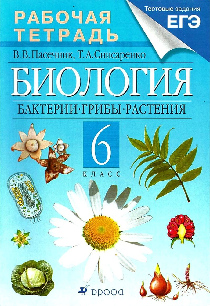 Пасечник В.В. Биология 6 класс. Бактерии. Грибы. Растения. Рабочая ...