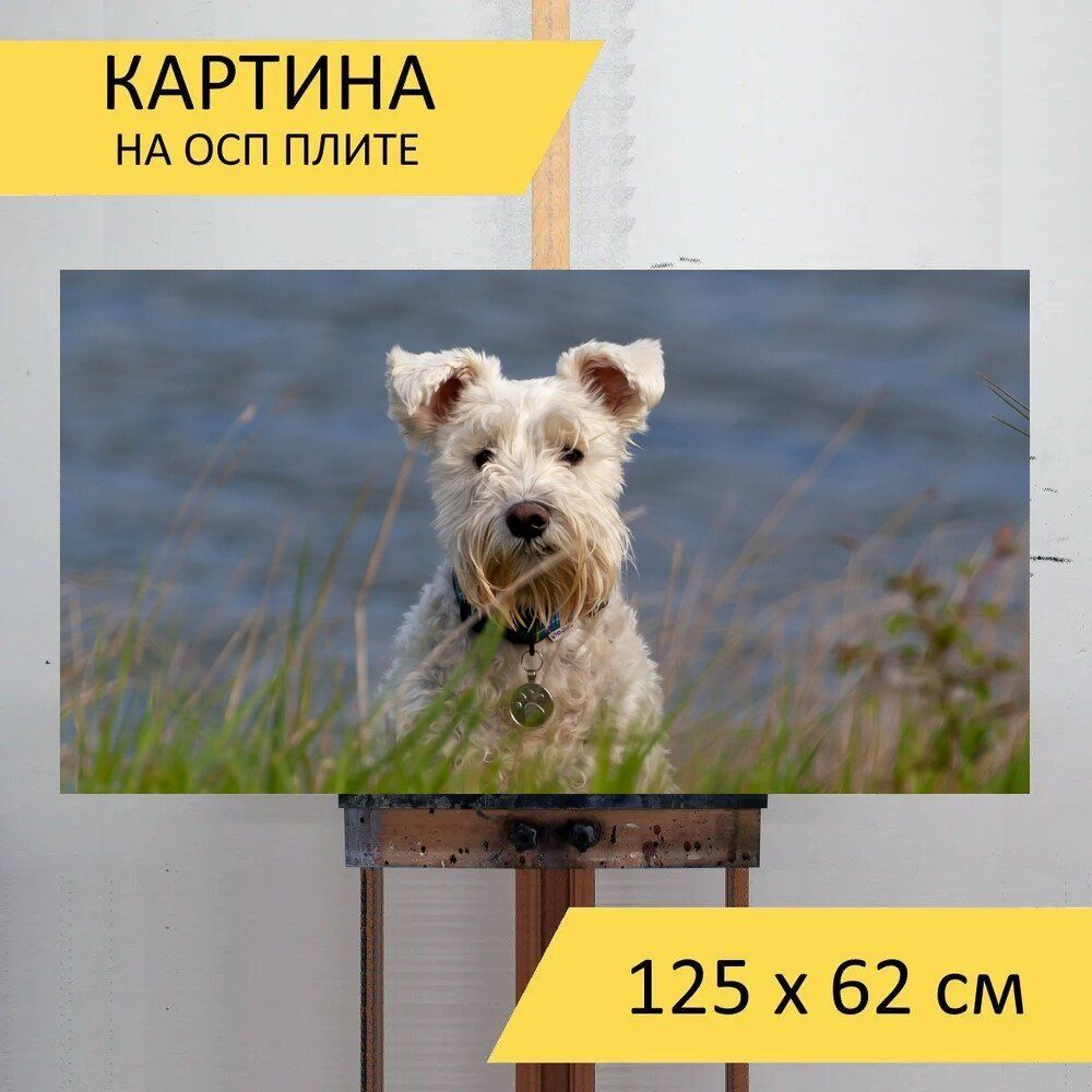 Картина животных 