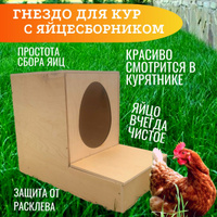 Изготовление насеста для кур своими руками: что надо знать о его размерах и устройстве