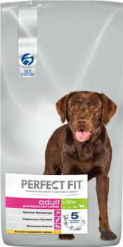 Perfect fit best sale for dogs