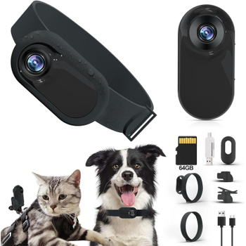 камера для кошек