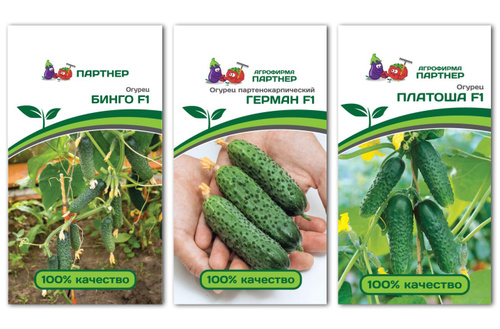 партнер бинго