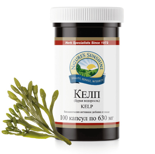 Elista porno rasmlar