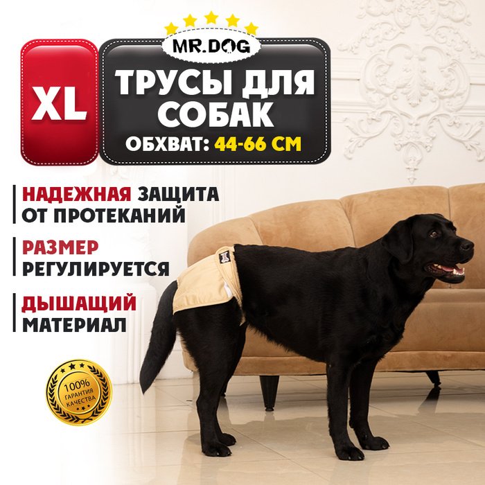 Трусы для собак многоразовые во время течки, подгузник для собак Mr Dog ...