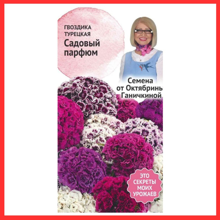 Турецкая гвоздика семена и соцветия