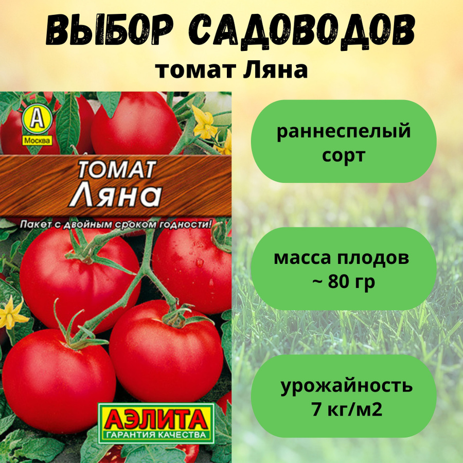 Помидоры ляна описание сорта фото отзывы садоводов Семена Помидор и Огурцов Сибирский Сад - купить в интернет-магазине OZON по низк