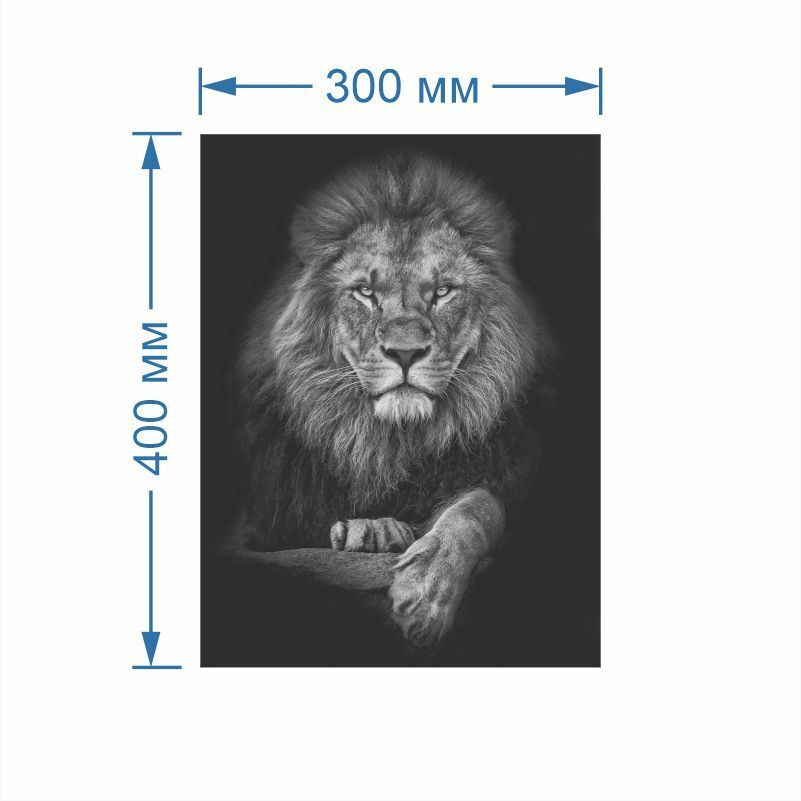 Постер для интерьера Животные Король Лев 30 х 40 см