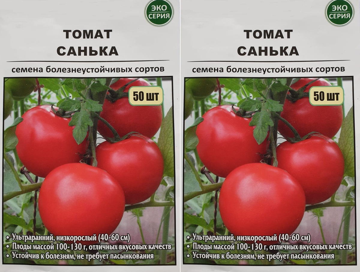 Текстовое описание изображения
