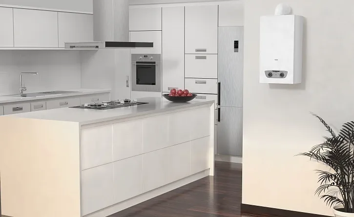 Ariston Водонагреватель проточный газовый FAST R 10, производительность ГВС 10 л/мин, открытая камера сгорания, механическая модуляция,  электронный розжиг, механическое управление, стальной корпус, работа от батареек 2 x 1,5V LR20, 3632311, 10 л, фото 4
