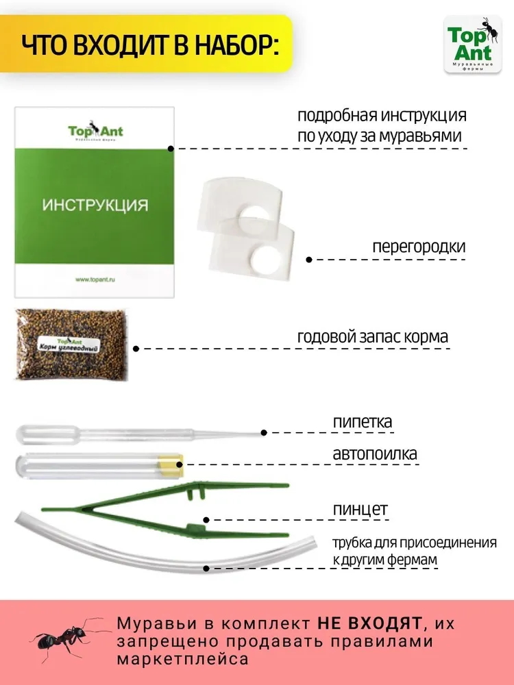 TopAnt Большая муравьиная ферма МАКСИМАЛЬНЫЙ комплект формикарий для муравьев, вариант, фото 3