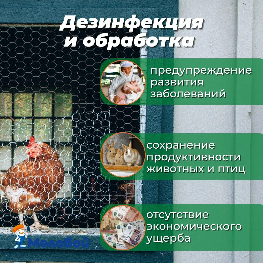 Дезинфектант, средство для обработки сельскохозяйственных помещений, деревьев и деревянных поверхностей, гашеная известь в виде пасты, 13 кг, 13 кг, фото 3