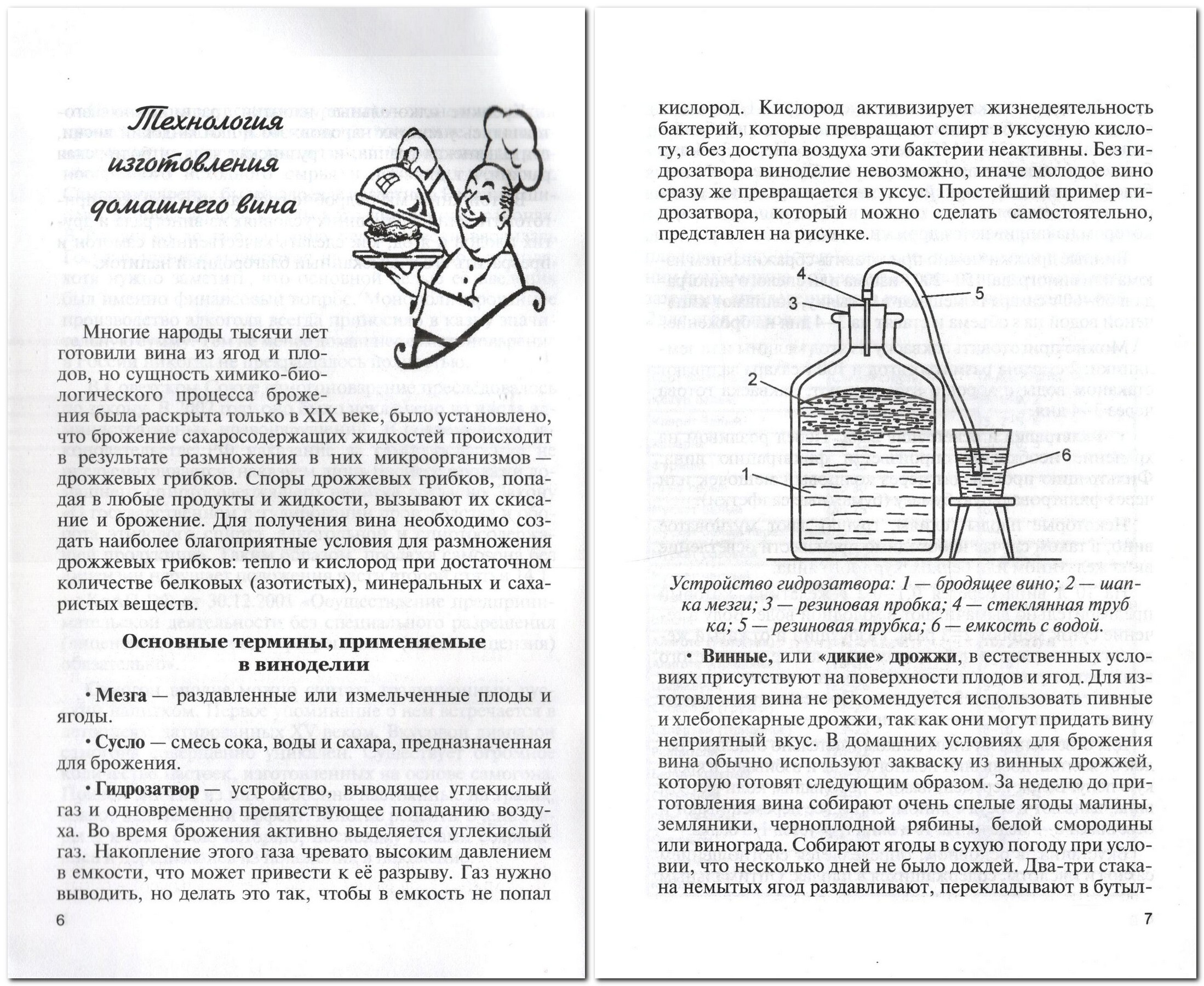 Вино и самогон | Wine and Moonshine - Ozon image 1