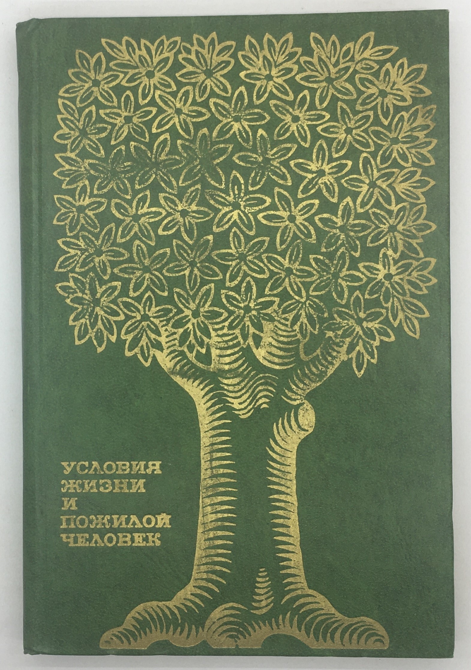 Любопытство как инструмент защиты мозга от старения