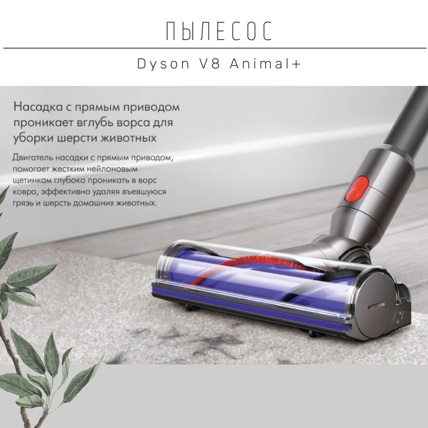 Dyson v8 outlet animal pro+