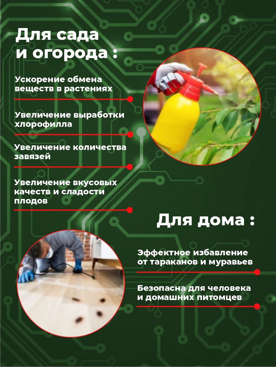 Борная кислота Solins Н3ВО3 порошок, паяльный флюс для пайки, удобрение для растений, от насекомых вредителей, тараканов и муравьев, сорняков, средство для дезинфекции и обработки, 250 г