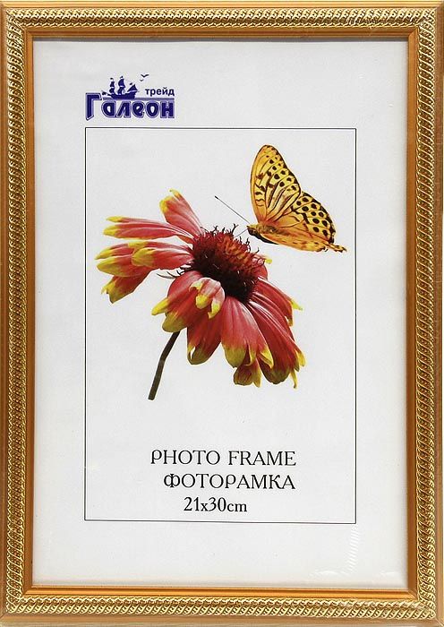 Фоторамка пластиковая 21 х 30 см, цвет золотой