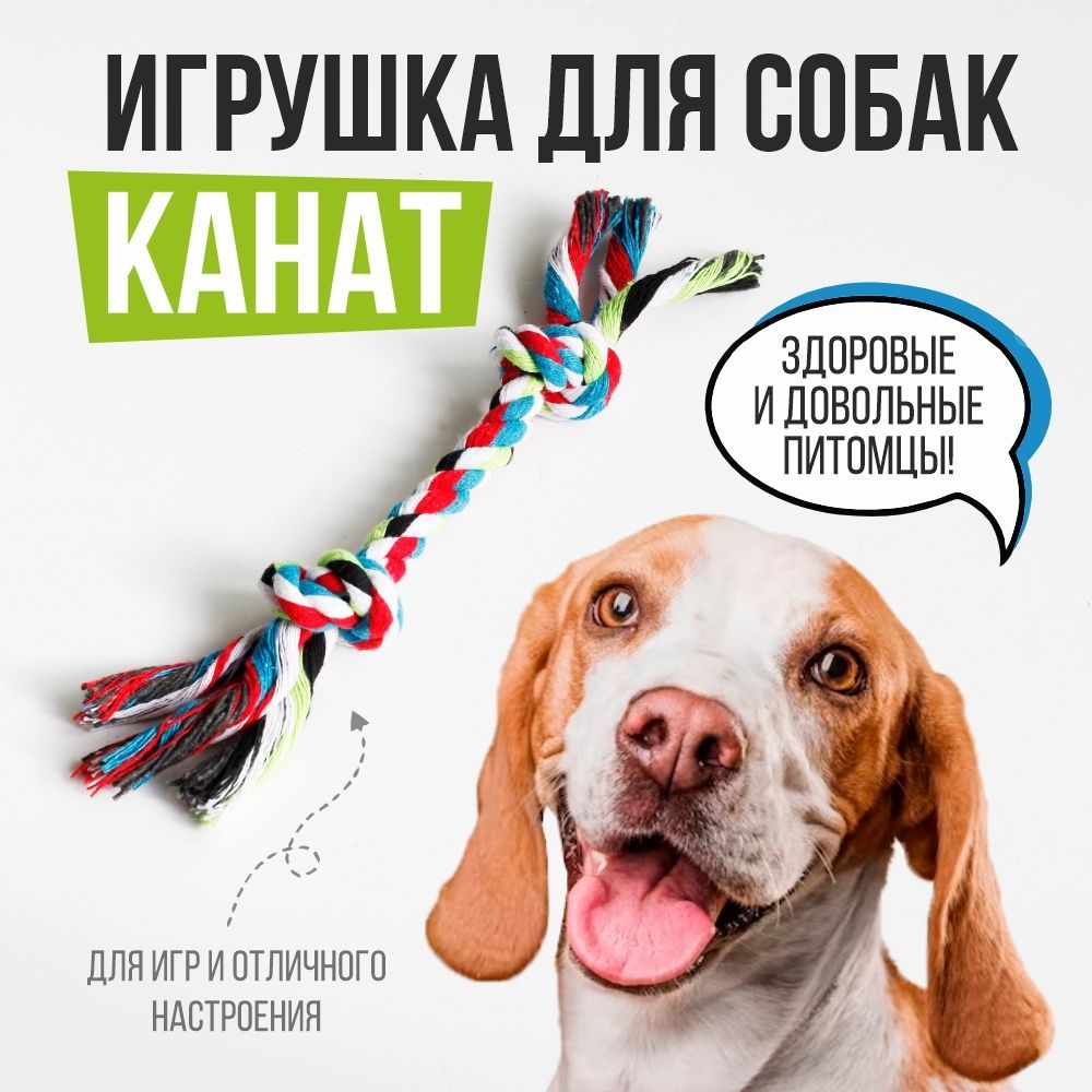 Канаты и перетяжки для собак купить в Киеве по низкой цене | Pethouse